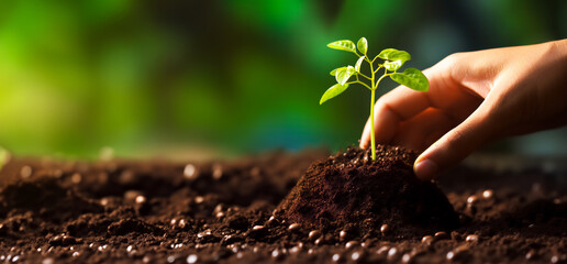 A human hand plants a young seedling in the fertile soil on a blurred green background. Concept of...