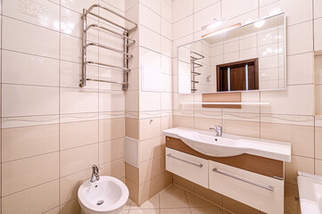 interior apartment room bathroom, sink, decorative elements, toilet. WC, sanitary unit, wash room