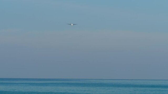 Long shot of an airplane approaching to land. Airliner flies over the blue sea, descent. Turboprop carrier in the sky