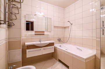 interior apartment room bathroom, sink, decorative elements, toilet. WC, sanitary unit, wash room