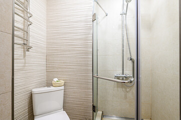 interior apartment room bathroom, sink, decorative elements, toilet. WC, sanitary unit, wash room