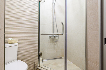 interior apartment room bathroom, sink, decorative elements, toilet. WC, sanitary unit, wash room