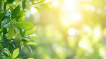 Beautiful nature view of green leaf on blurred greenery background in garden and sunlight with copy space - Powered by Adobe