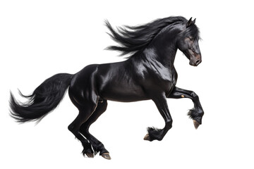 Obraz na płótnie Canvas black horse prancing against the light, Isolated on transparent PNG background, Generative ai