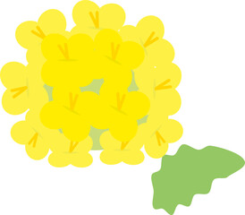 シンプルな菜の花のイラスト（フラットデザイン）