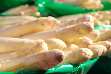 Fresh white seasonal asparagus close-up.