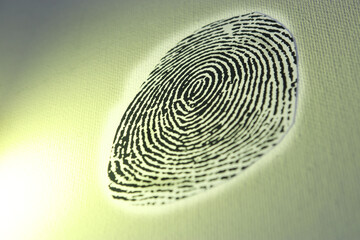 Large Fingerprint With Yellow Background