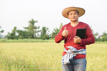 Handsome Asian farmer is at paddy field, holds smart tablet to inspect rice plants ,do research about growth, diseases, insects at paddy field. Concept , Smart farmer. Use technology in agriculture.  