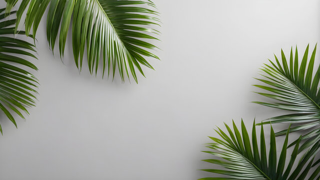 lush green curved palm leaves isolated on soft gray background overlay text