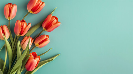 tulip flowers arranged on a turquoise background, minimalist,empty space, Birthday, Woman's day,Mother day, Flat lay