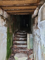  Wolf's Lair