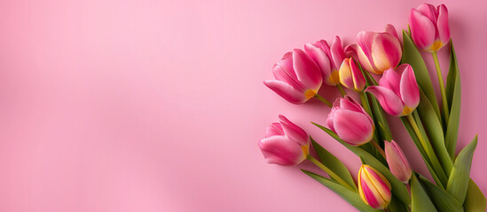 a photo Tulips flowers Background Empty pink pastel background Flower photography, pastel background, easter, mother day, woman's day