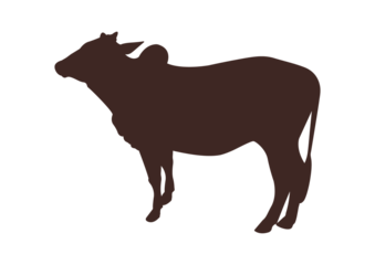 Cow silhouette png icon
