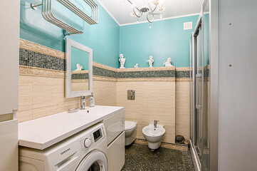interior apartment room bathroom, sink, decorative elements, toilet. WC, sanitary unit, wash room