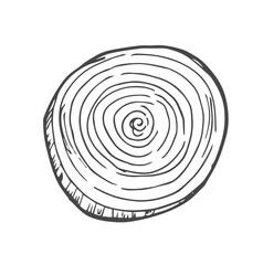 Vector Sketch Onion Round Slices