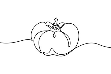 Tomato in continuous line art drawing style. Ripe tomato fruit black linear sketch isolated on white background. Vector illustration - obrazy, fototapety, plakaty