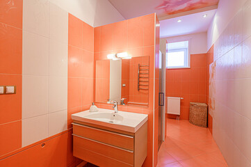 interior apartment room bathroom, sink, decorative elements, toilet. WC, sanitary unit, wash room