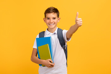 Cheerful young schoolboy with backpack and books showing thumb up