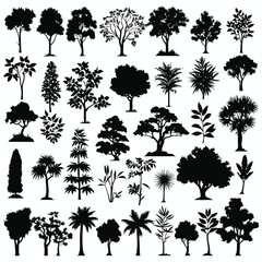 Tree silhouette set vector collection