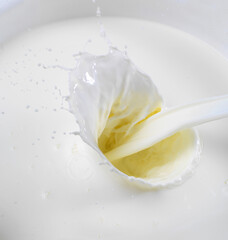 Milch, Splash, Vollmilch, Tropfen, Frische,