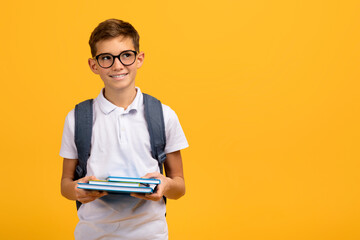 Intelligent schoolboy wearing glasses and backpack holding textbooks and looking aside