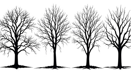 vector collection of dry trees. set of tree silhouettes.