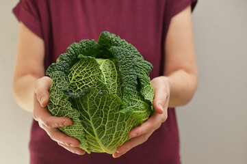 Woman holding green  organic savoy cabbage