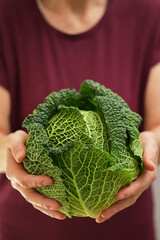 Woman holding green organic savoy cabbage