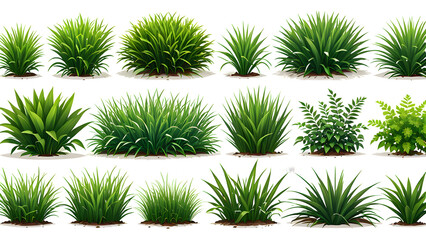 vector collection of green grass or shrub. green grass background vector