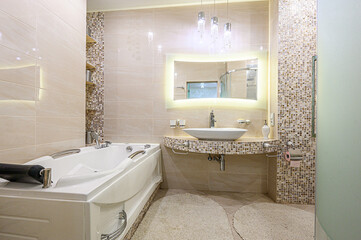 interior apartment room bathroom, sink, decorative elements, toilet. WC, sanitary unit, wash room