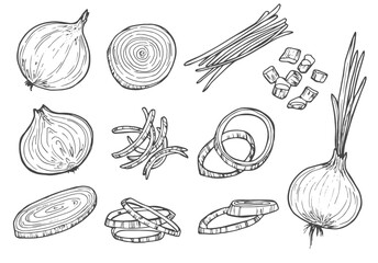 Vector sketch illustration of onion set drawing isolated on white. half, whole and cut rings. - obrazy, fototapety, plakaty