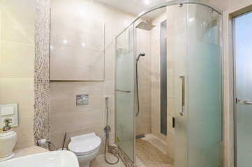 interior apartment room bathroom, sink, decorative elements, toilet. WC, sanitary unit, wash room