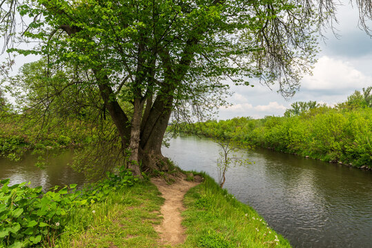 Confluence of Odra and Olse rivers near Bohumin town on czech - polish borders