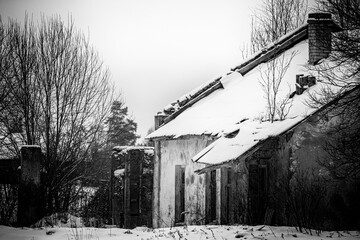 ruined abandoned old country house in Latvia, leafless trees, snow covered ground. Monochrome gloomy black and white	