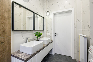 interior apartment room bathroom, sink, decorative elements, toilet. WC, sanitary unit, wash room