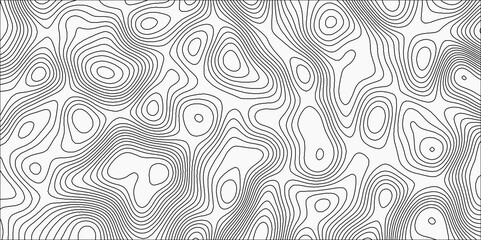 Natural printing illustrations of maps. Topographic Map in Contour Line Light Topographic White seamless marble texture. Gradient multicolor wave curve lines banner background.
