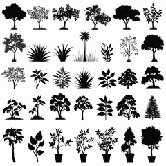 Tree silhouette collection vector illustration