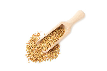 Green buckwheat in a wooden spoon isolated on a white background. Superfood. Raw buckwheat porridge. Healthy vegan food, eco products, diet, organic.