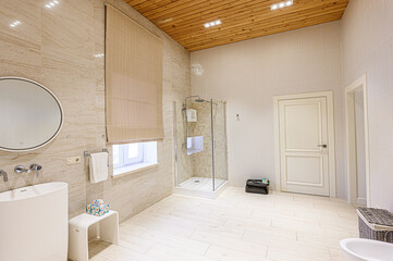 interior apartment room bathroom, sink, decorative elements, toilet. WC, sanitary unit, wash room