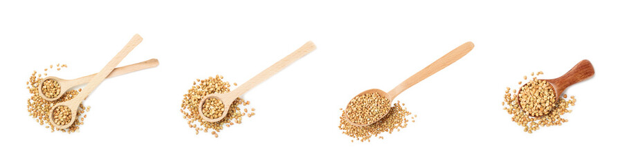 Green buckwheat in a wooden spoon isolated on a white background. Superfood. Raw buckwheat...