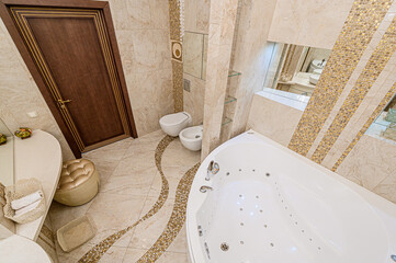 Fototapeta na wymiar interior apartment room bathroom, sink, decorative elements, toilet. WC, sanitary unit, wash room