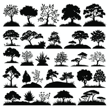 Tree silhouette collection vector illustration