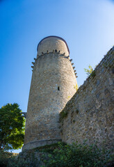 Fototapeta na wymiar Zvikov Castle. A majestic view of the historical Zvikov Castle. Czech