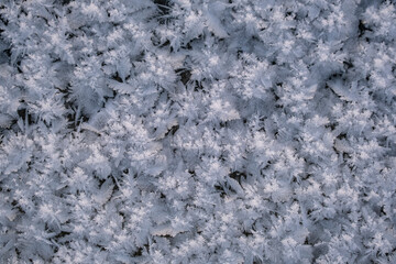 Frost pattern. White frozen ice texture. Cold snow winter background. Blue crystal frost abstract pattern