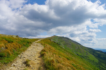 summer landscape of the Carpathian mountains. Ukraine