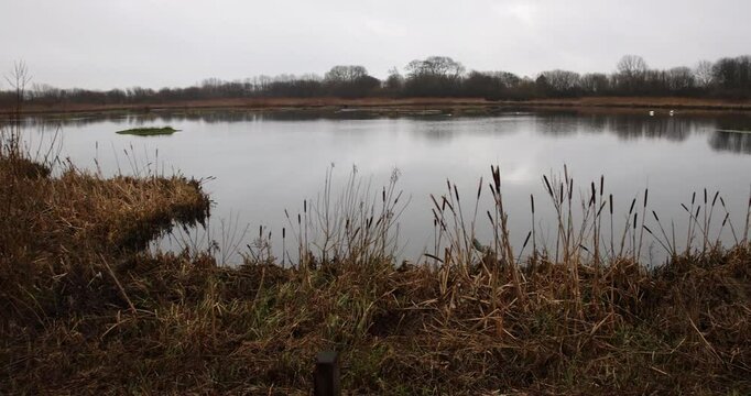 Tophill Low Nature reserve in East Yorkshire, Tophill Low Nature reserve is an active Yorkshire Water treatment works. 4K Video.