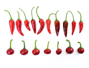 Red hot peppers arranged in line. Variation of cherry and small hot chili peppers in a row on white background.