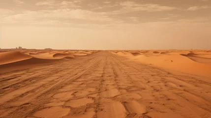  Asphalt road covered with sand in the desert after a sandstorm. © liliyabatyrova