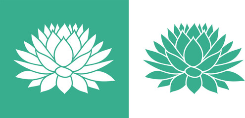 Agave logo. Isolated agave on white background