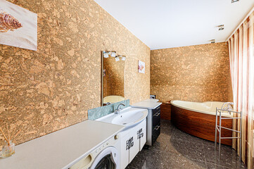 interior apartment room bathroom, sink, decorative elements, toilet. WC, sanitary unit, wash room